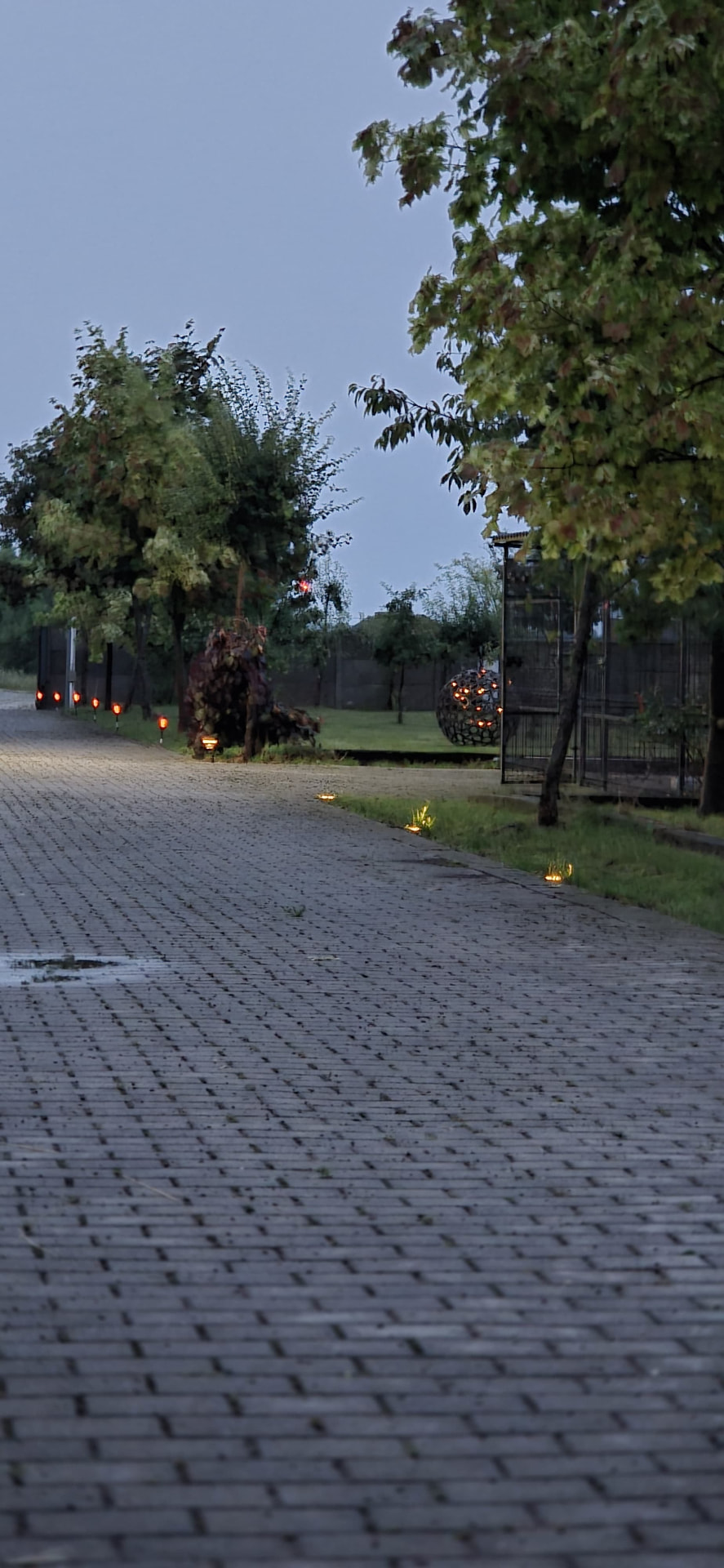 Brukowana aleja o zmierzchu oświetlona lampkami
